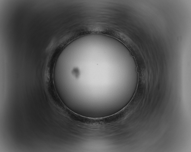 X0000088040731200705251301