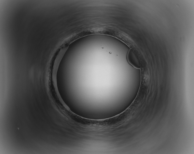 X0000088040732200705251301
