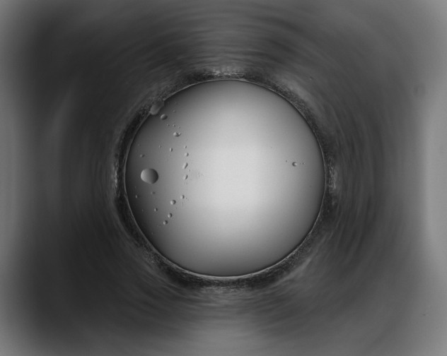 X0000088040733200705251301