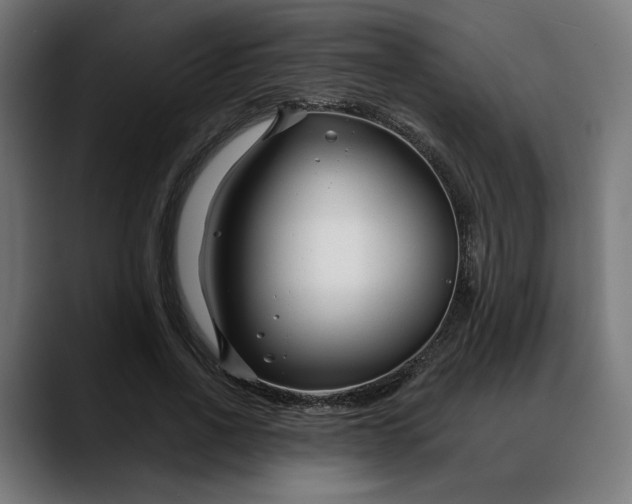 X0000088040734200705251301