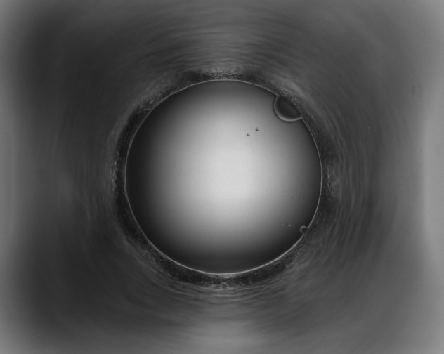 X0000088040735200705251301