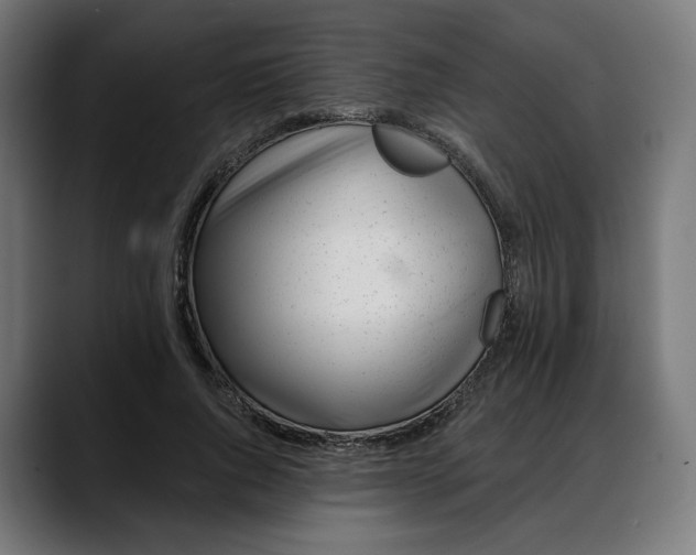 X0000088040736200705251301