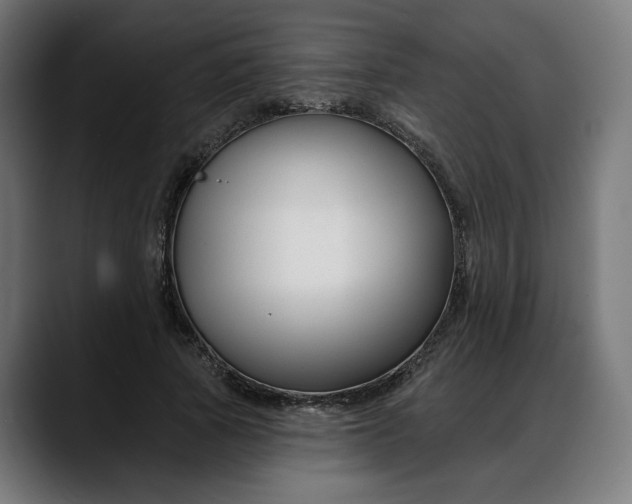 X0000088040737200705251301