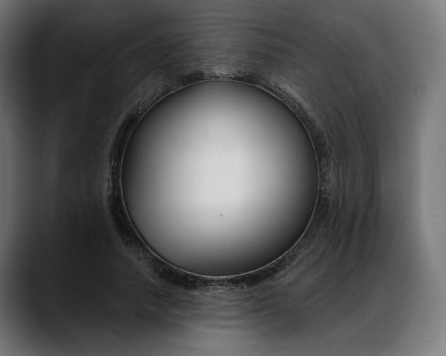 X0000088040738200705251301