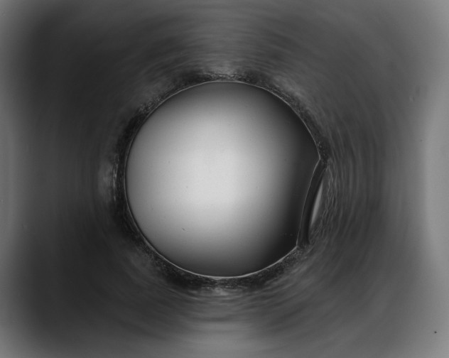 X0000088040739200705251301