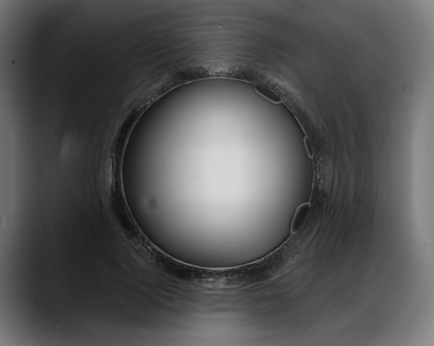 X0000088040740200705251301