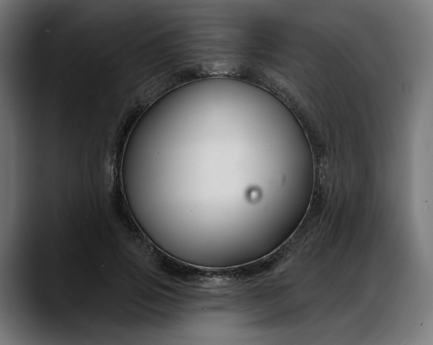 X0000088040741200705251301