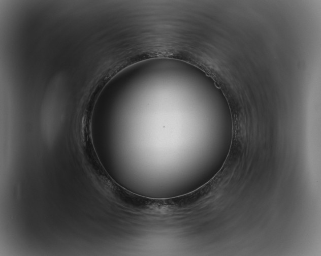 X0000088040742200705251301