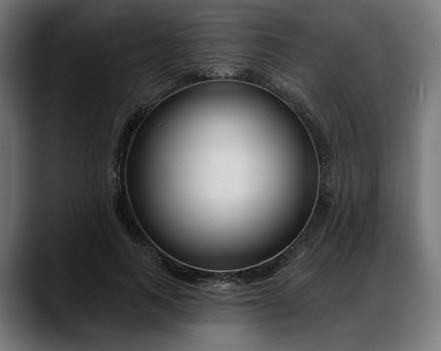 X0000088040743200705251301