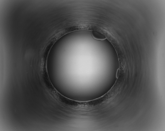X0000088040744200705251301