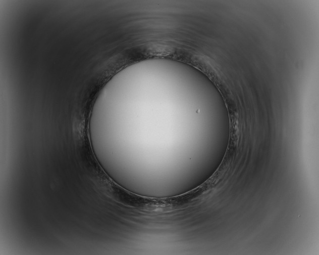 X0000088040745200705251301