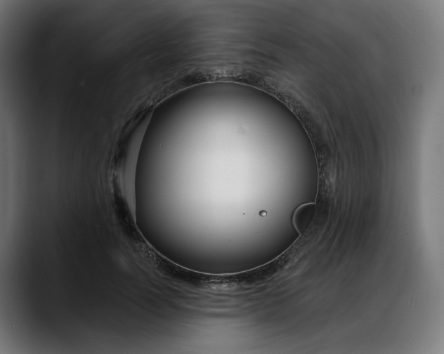 X0000088040746200705251301