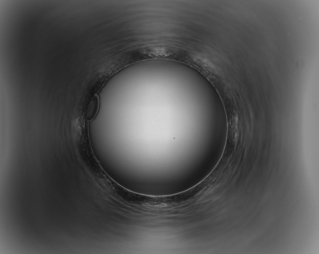 X0000088040747200705251301