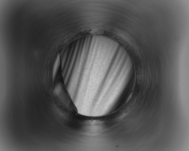 X0000088040748200705251301
