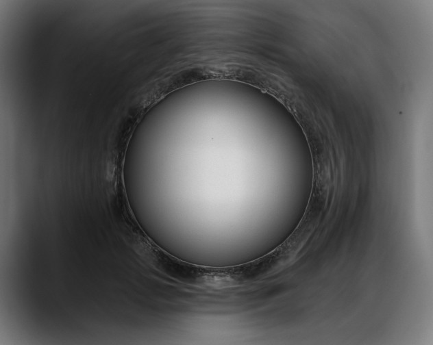 X0000088040749200705251301