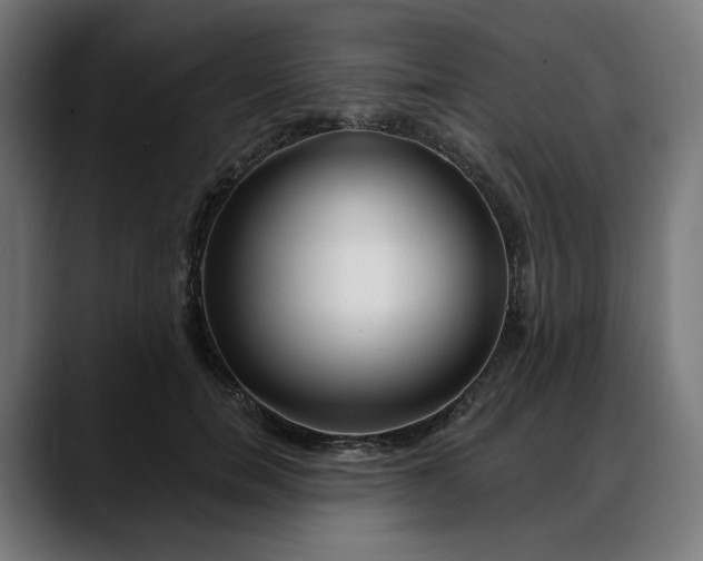 X0000088040750200705251301