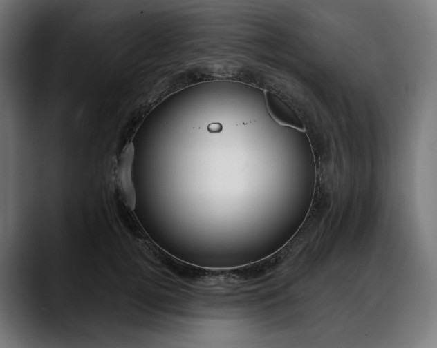 X0000088040752200705251301