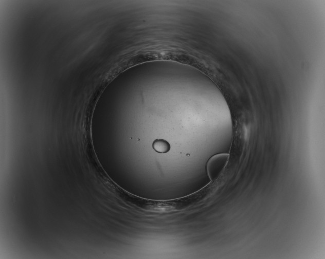 X0000088040754200705251301