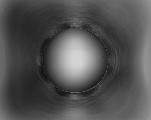 X0000088040755200705251301