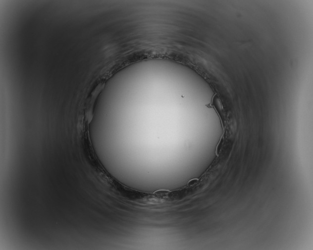 X0000088040756200705251301