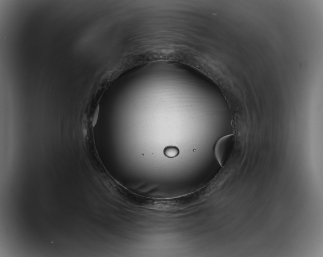 X0000088040758200705251301