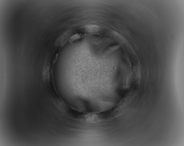 X0000088040762200705251302