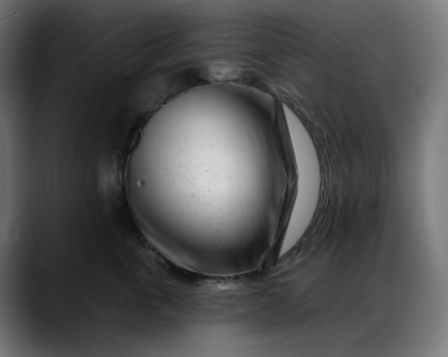 X0000088040763200705251302