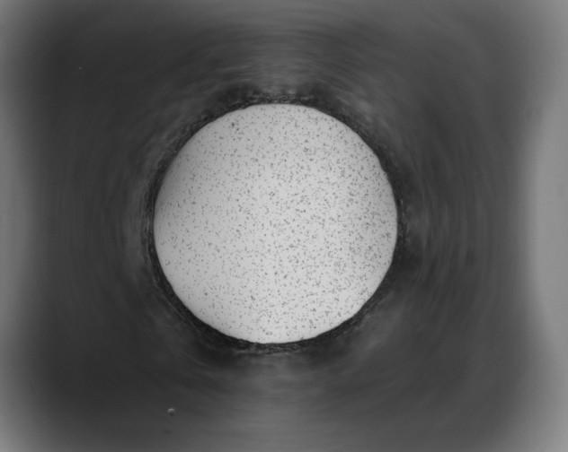 X0000088040769200705251301