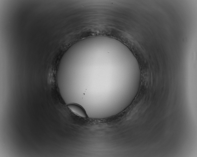 X0000088040770200705251301