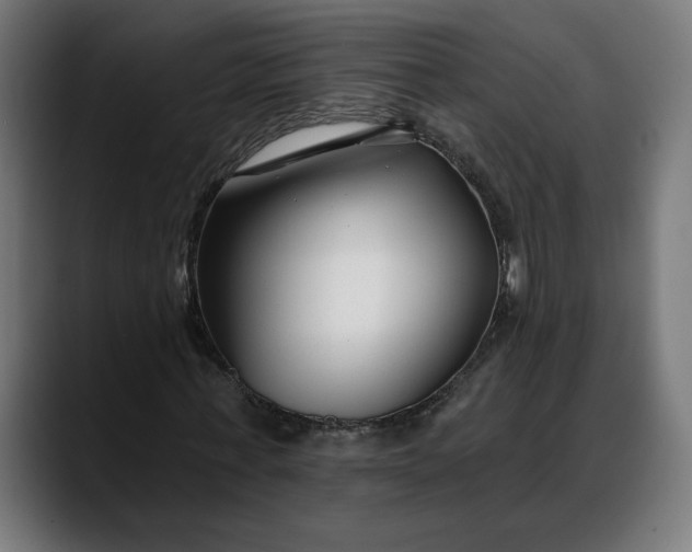 X0000088040771200705251301