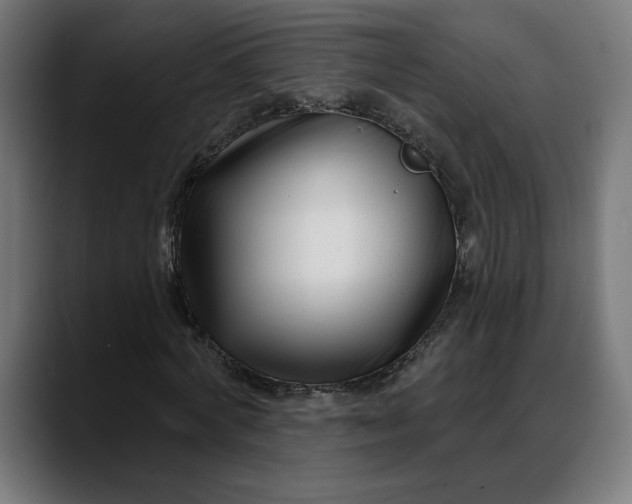 X0000088040772200705251301