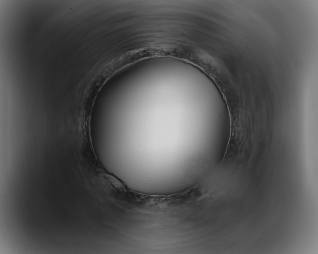 X0000088040773200705251301