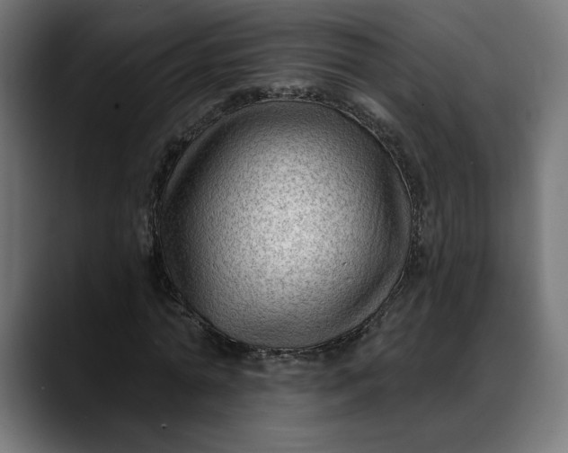 X0000088040774200705251301