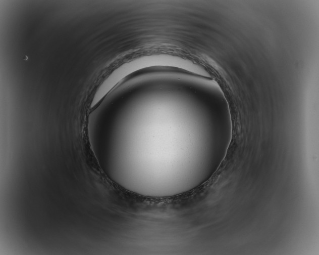 X0000088040775200705251301