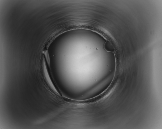 X0000088040777200705251301