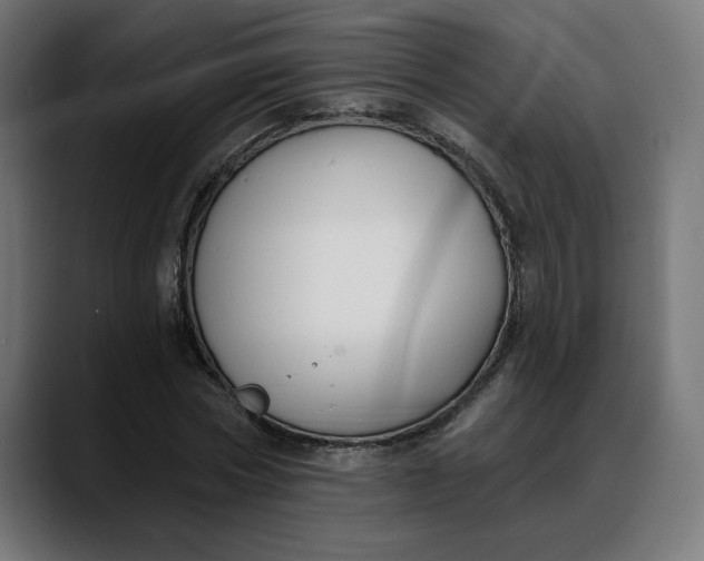X0000088040778200705251301