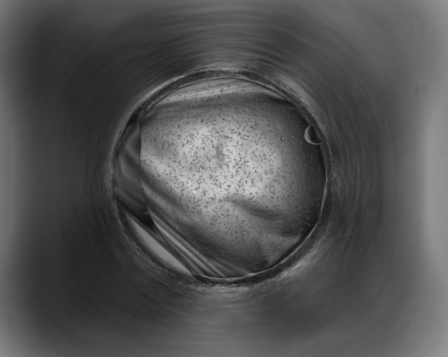 X0000088040779200705251301