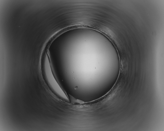 X0000088040780200705251301