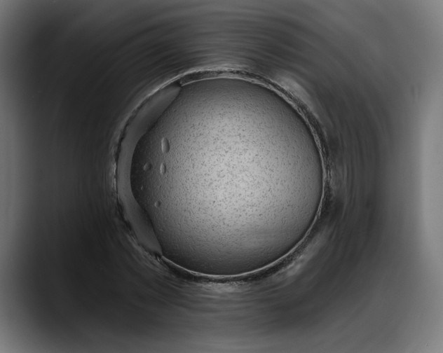 X0000088040781200705251301