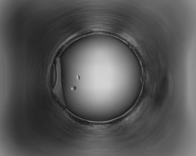 X0000088040782200705251301