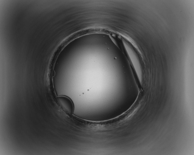 X0000088040783200705251301