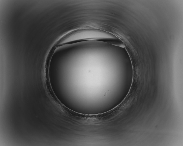 X0000088040784200705251301