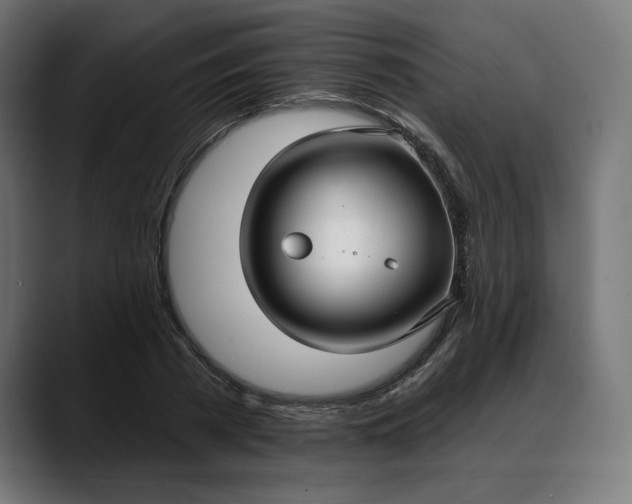 X0000088040785200705251301