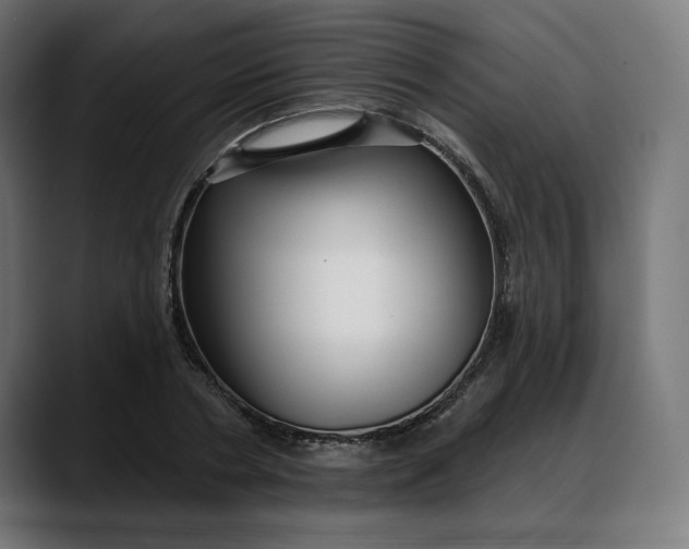 X0000088040786200705251301