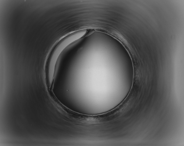 X0000088040787200705251301