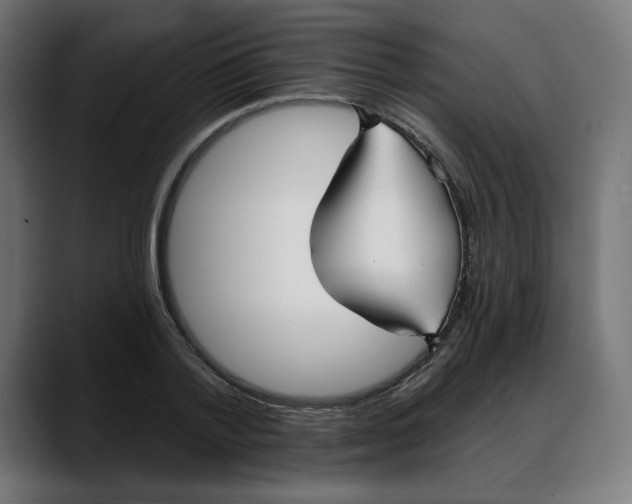X0000088040788200705251301