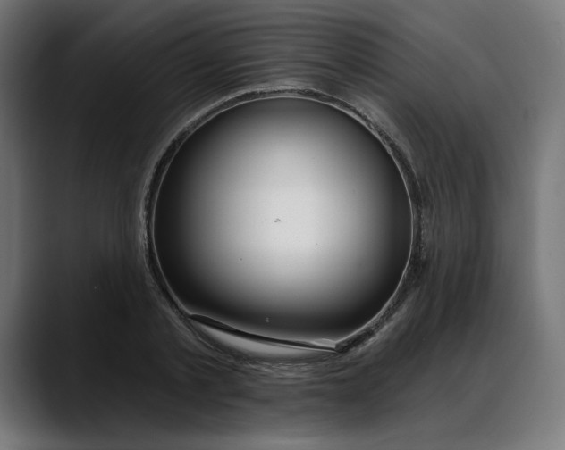X0000088040789200705251301