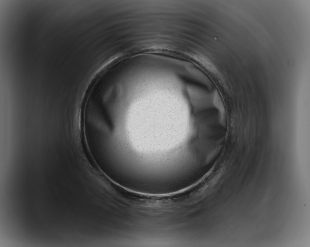 X0000088040790200705251301