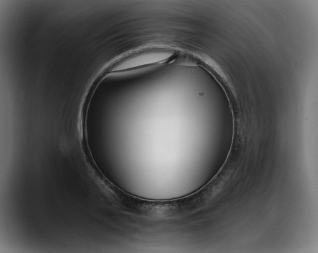 X0000088040791200705251301