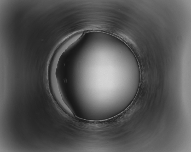 X0000088040792200705251301